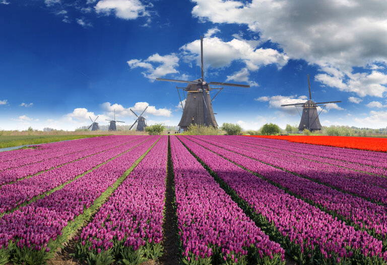7 lugares que tienes que visitar en los Países Bajos