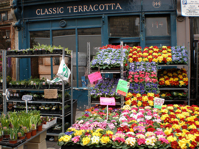 Columbia Road, lugar para una visita alternativa por Londres