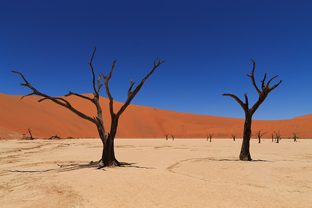 Dead Veli en Namibia
