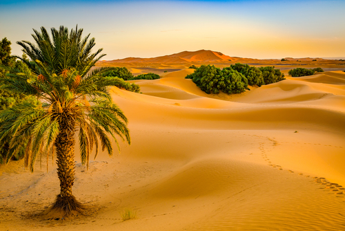 dunas de Merzouga