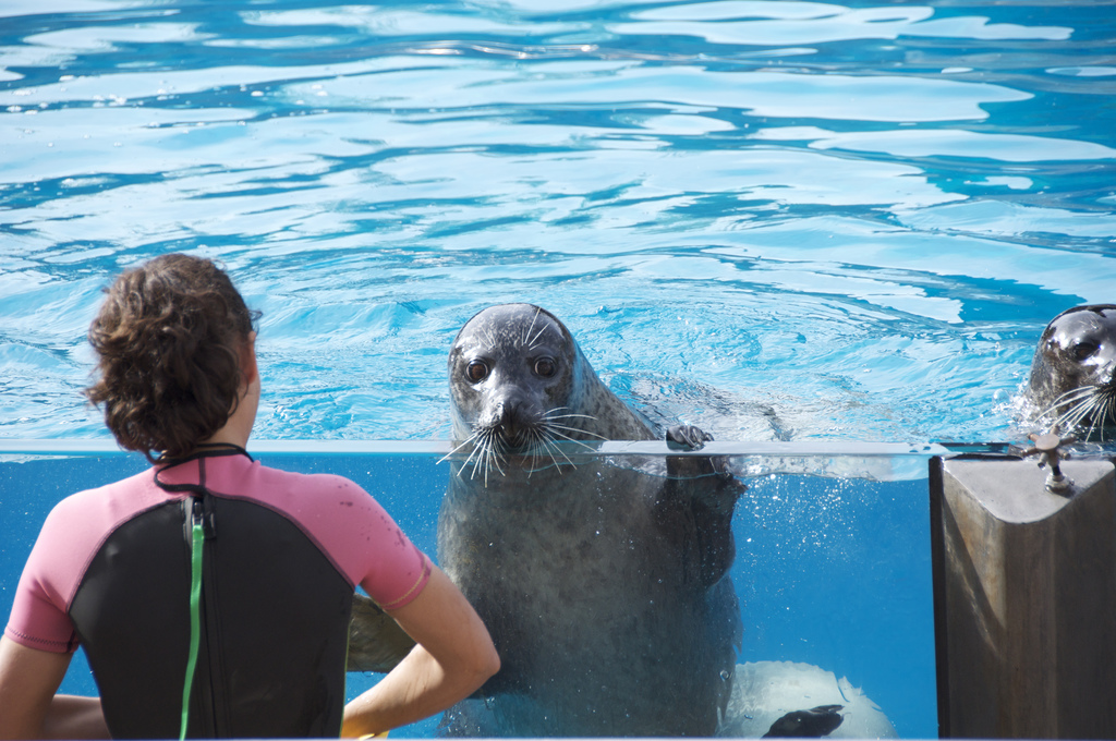 Exhibición en Faunia