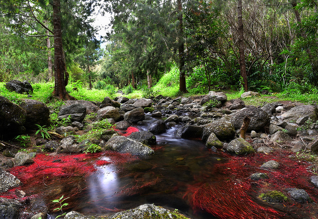 Paisaje de Isla Reunión
