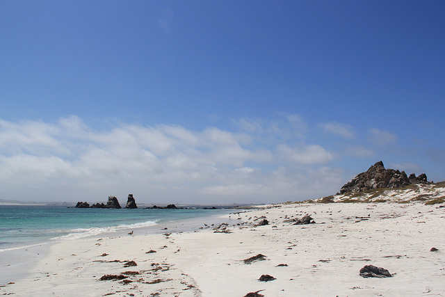 Isla Damas en Chile