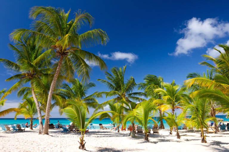 La isla Saona, un sitio paradisíaco por sus paisajes