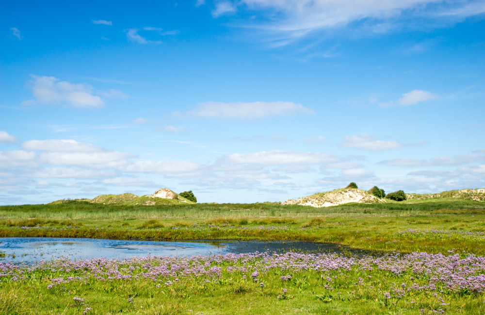 Islas Frisias en los Países Bajos