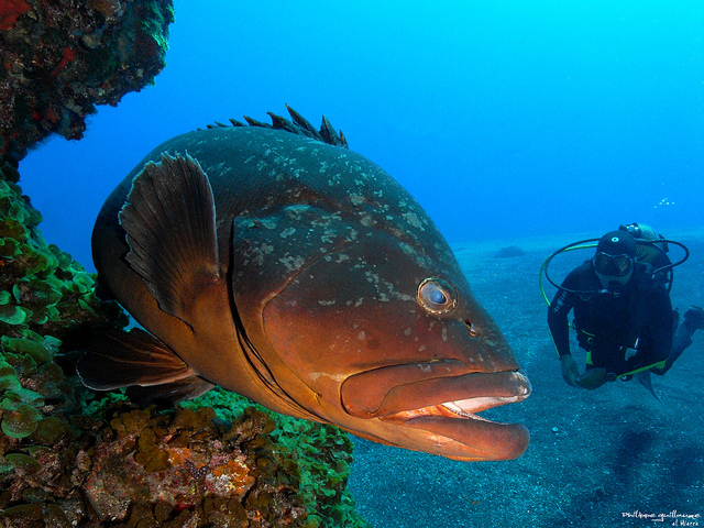 La Restinga en El Hierro