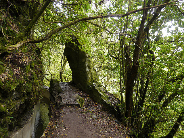 Levada do Furado en Madeira