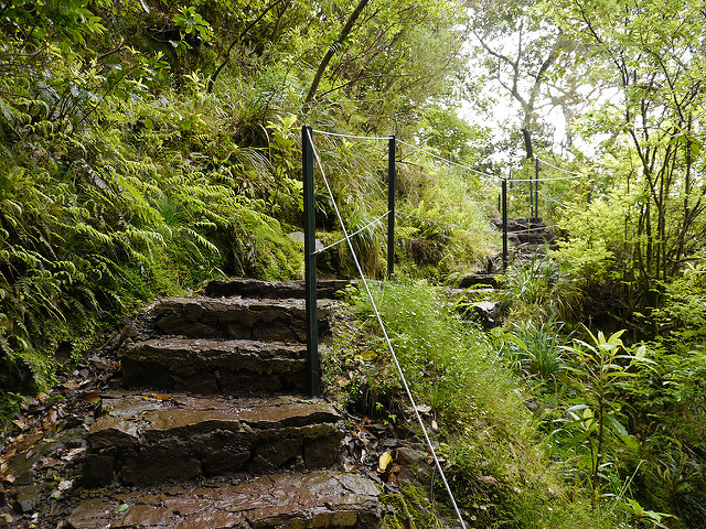 Levada en Madeira