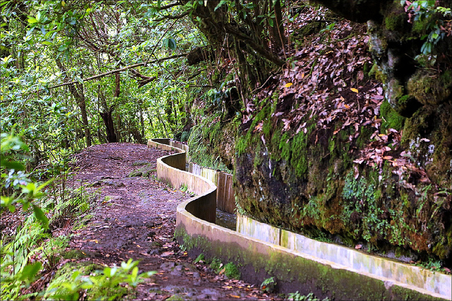 Levada, rutas de senderismo en Madeira
