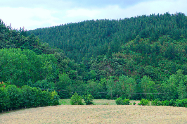 Montes de Balmaseda