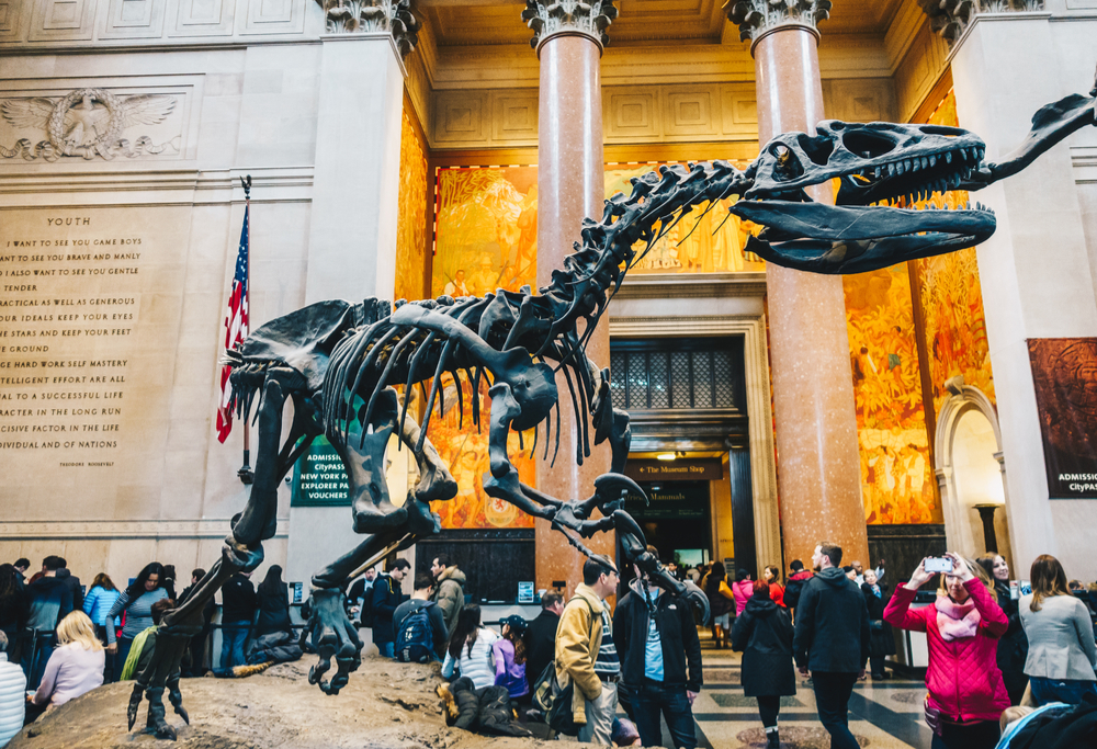 Museos de Historia Natural, una de las atracciones del New York CityPASS