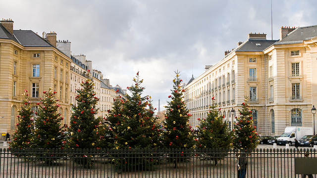 Descubre la Navidad en París, unos días mágicos