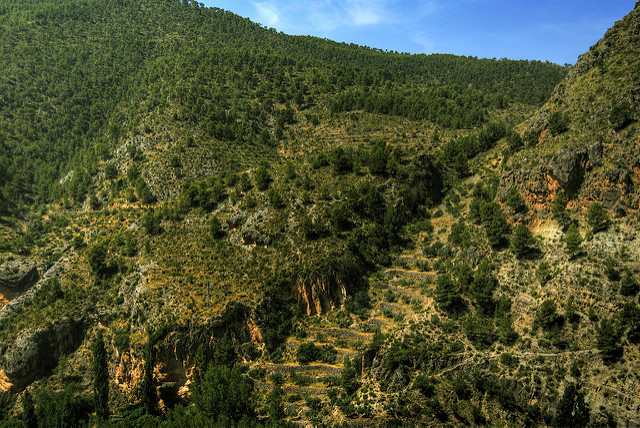 Paisaje de Ayna