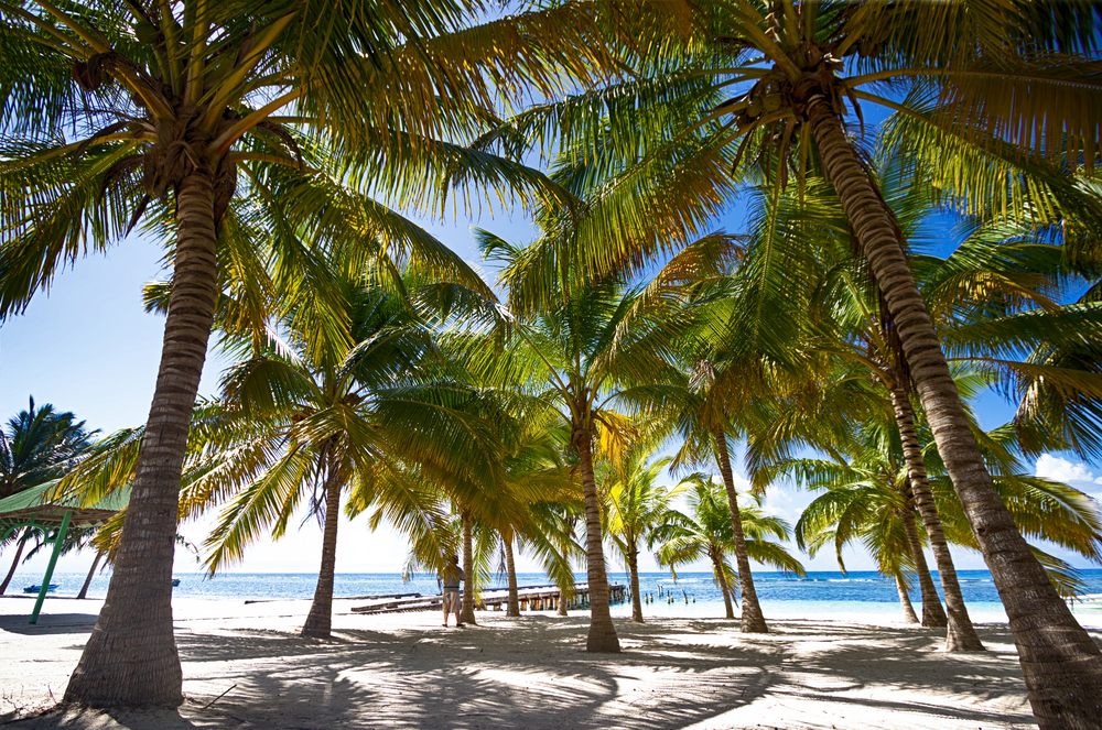 REpública Dominicana en el Caribe
