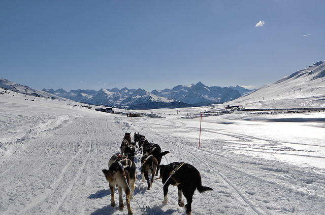 Trineos de perros en Baqueira