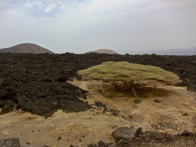 Paisaje volcánico en Yibuti