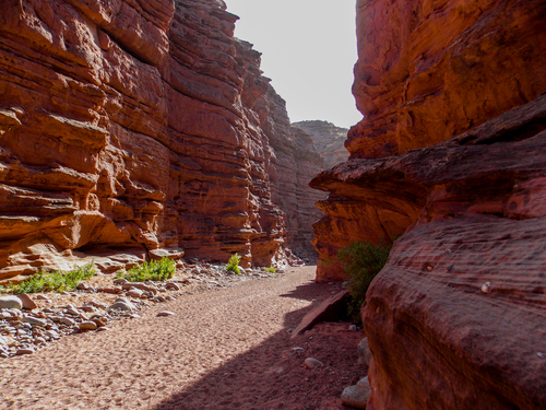Cañón de Talampaya en Argentina