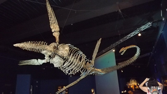 Dinosaurio en Dinópolis