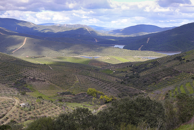 Alrededores del meandro Melero