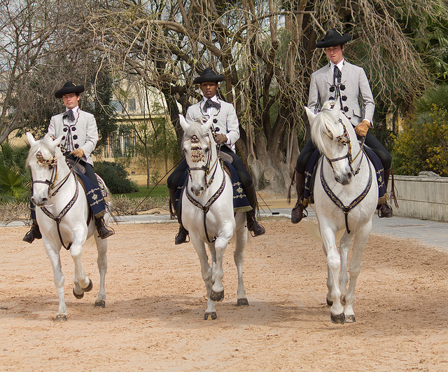 Real Escuela de Arte Ecuestre de Jerez de la Frontera