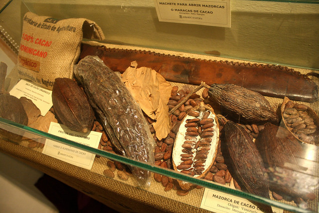 Granos de cacaco en el Museo del Chocolate de Astorga
