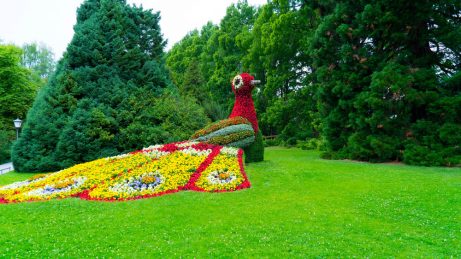 Isla de Mainau