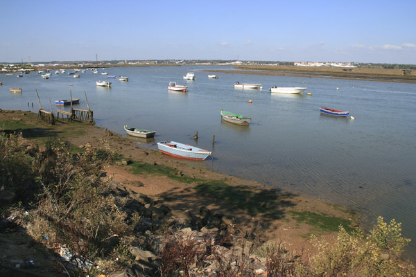 Marismas de Isla Cristina