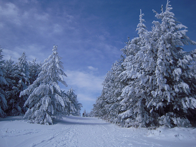 Monte Vitosha en Sofía