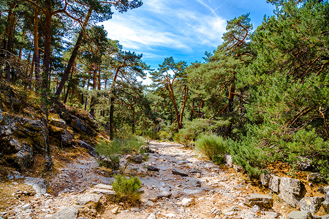 Paisaje de Cercedilla