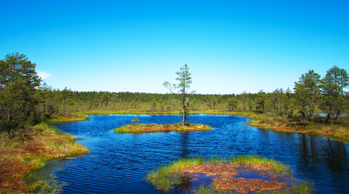 Parque Nacional Lahemaa en Estonia
