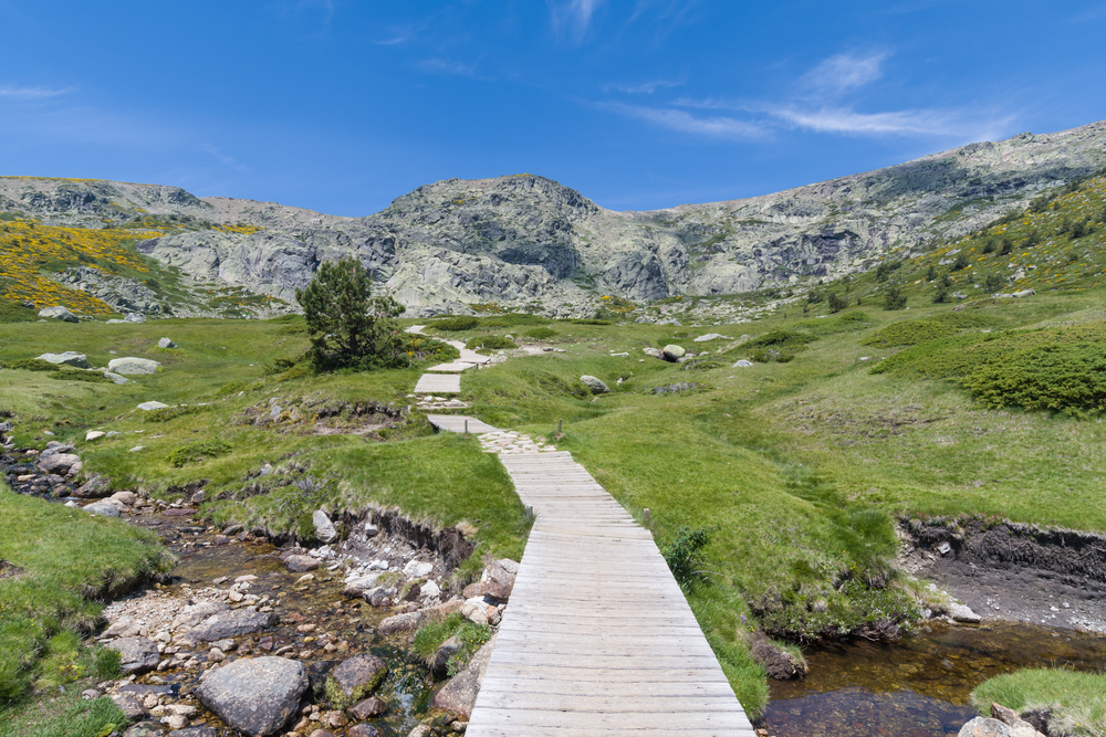 Parque Natural de Peñalara