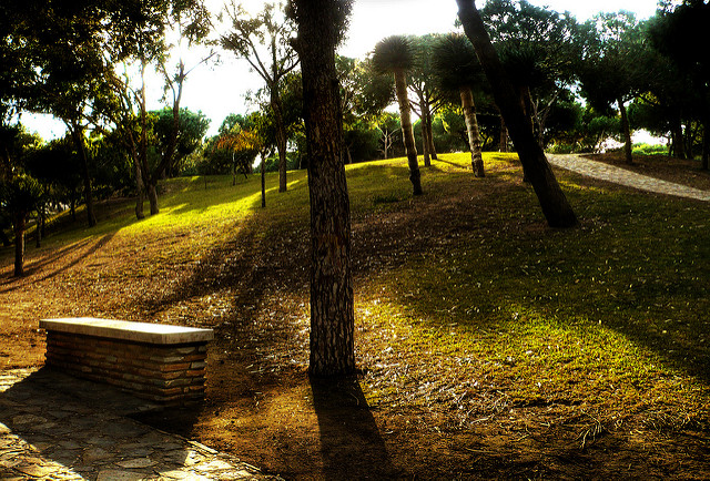 Pinar e Guardamar del Segura