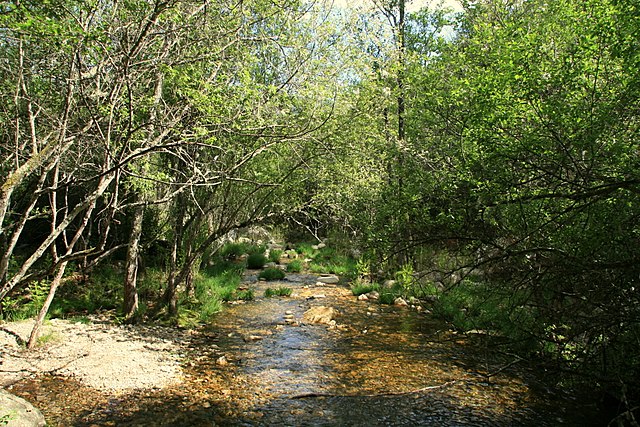 Río Batuecas cerca del meandro de Melero