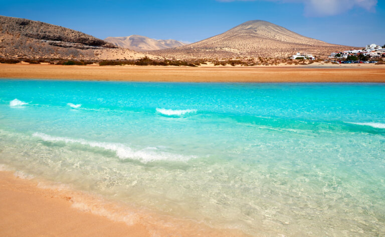Viajar al paraíso, 5 actividades que hacer en Fuerteventura