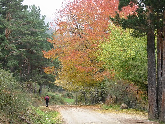 ruta senderista en Cercedilla