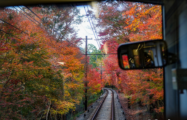 Tren en Japón