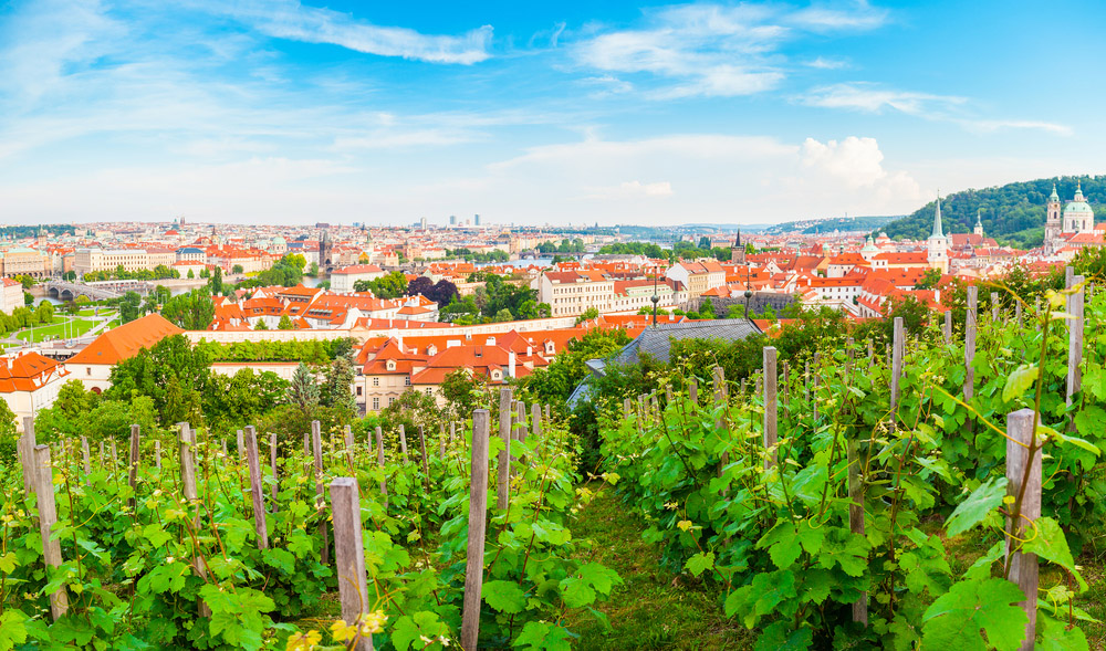 Viñedo de Grebovka, uno de los lugares sorprendentes de Praga