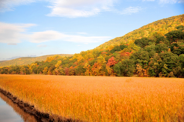 Estados Unidos en tren: Vista desde el Lake Shore Limited