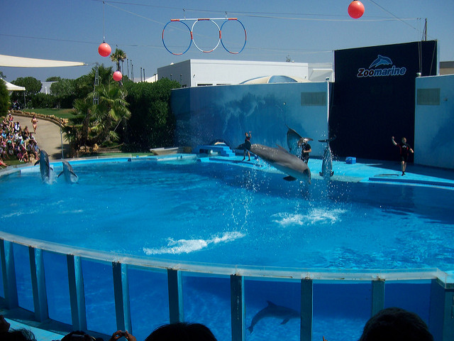 Zoo Marine Algarve
