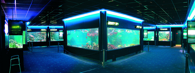 Acuario de Santa Pola