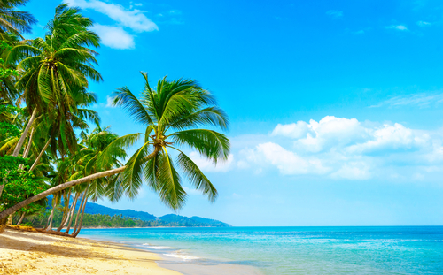 Bahamas, destino para perderte en 2018