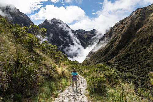Camino del Inca para llegar a Machu Picchu