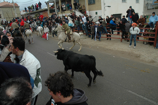 Encierro en el Carnaval de Ciudad Rodrigo