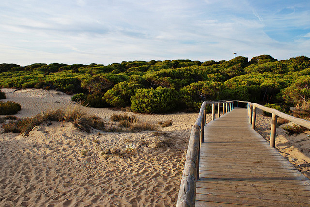 Los Enebrales en Punta Umbría