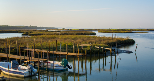 Estuario en Comporta