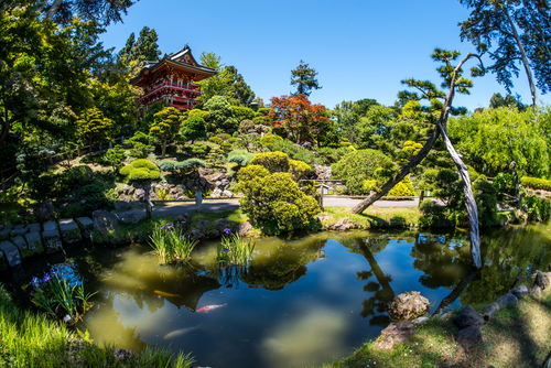 Golden Gate Park