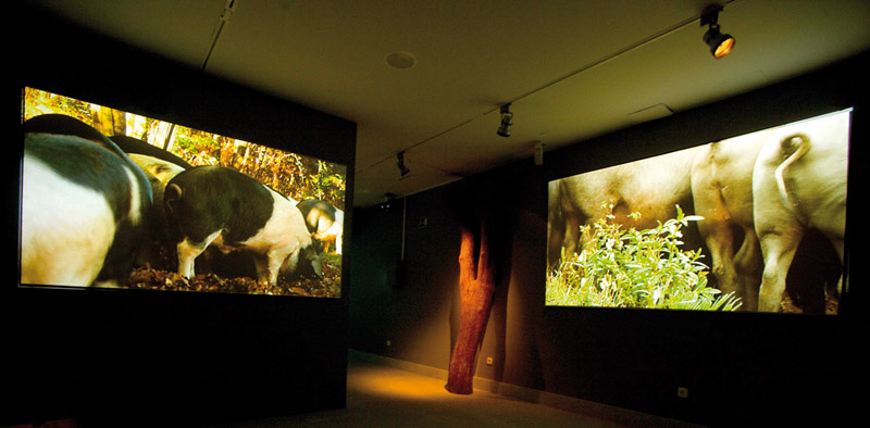 Museo del Jamón de Guijuelo