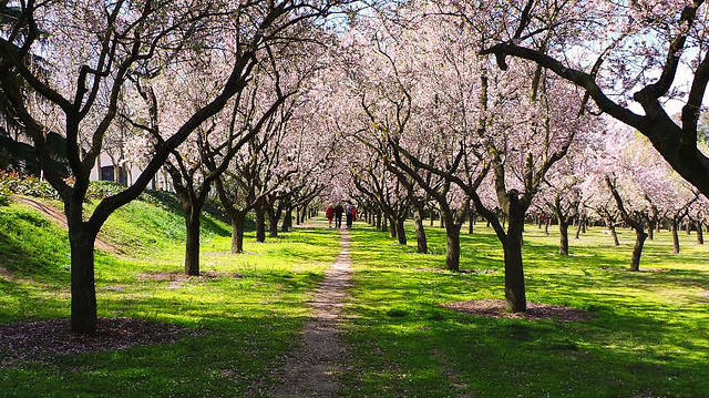 Quinta de los Molinos en Madrid
