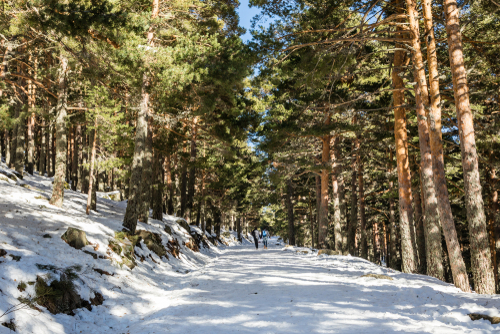 Senderistas en Navacerrada