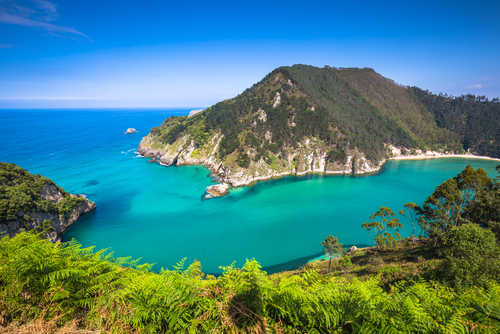 Tina Menor en el Parque Natural de Oyambre